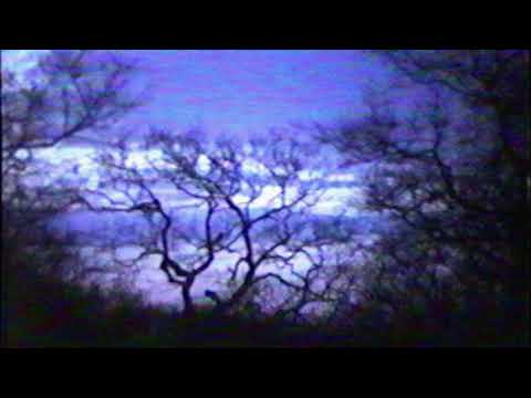 [FREE] A$AP Rocky x Cloud Rap x Clams Casino Type Beat "Wisdom" (prod. sour) 2024