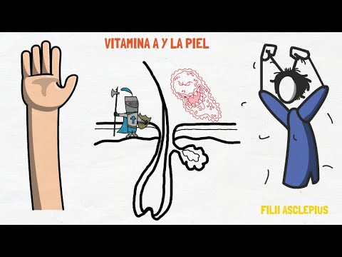 VITAMINA A Y SUS BENEFICIOS EN LA PIEL