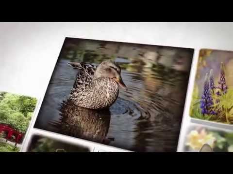 Flower and Garden Slideshow, Glenys Morgan Photography