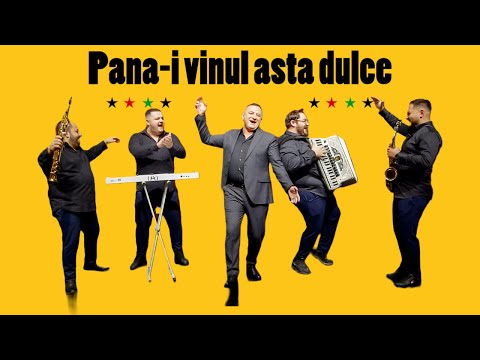 Dumitru Teleaga Meka & Artist Band - Pana-i vinul asta dulce || Cover Saban Bajramovic Akaja Rat