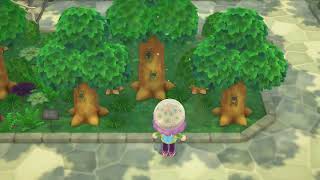 Cicadas in New Horizons