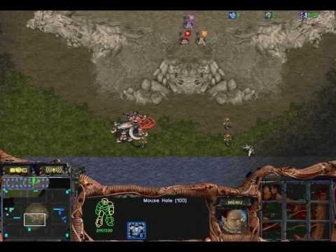 2021 StarCraft Broodwar - Cat and Mouse Games are Frustrating
