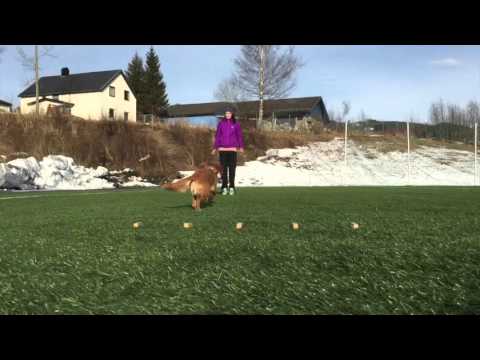 Neseprøven, trening 06 03 16