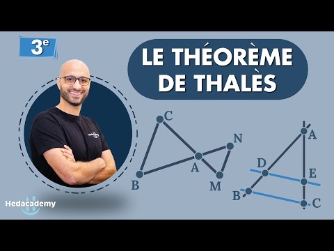Thales' Theorem: UNDERSTAND EVERYTHING!