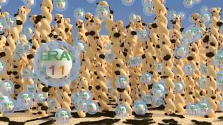 Altaş Halı Yıkama - Beklentilerin daha fazlası