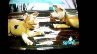 1 FLEW OVER CUCKOOS NEST.