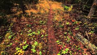 Trip video of the trails in the Kishenehn area including Kishenehn and Kishenehn Creek.