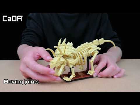 Vidéo CaDA Creative Series C59012W : Fossile de dinosaure : Stegosaure