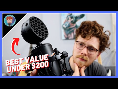 Neat King Bee II - A Budget Friendly Monster!! (Microphone Review)