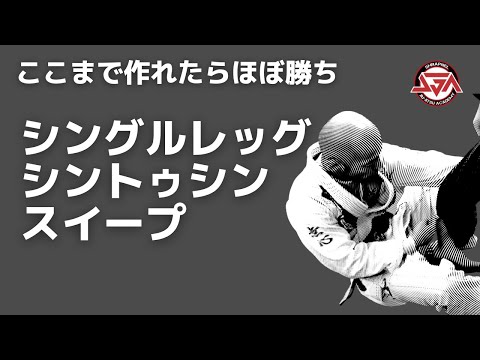 【ここまで作れたらほぼ勝ち】シングルレッグガード⇨シントゥシンスイープ