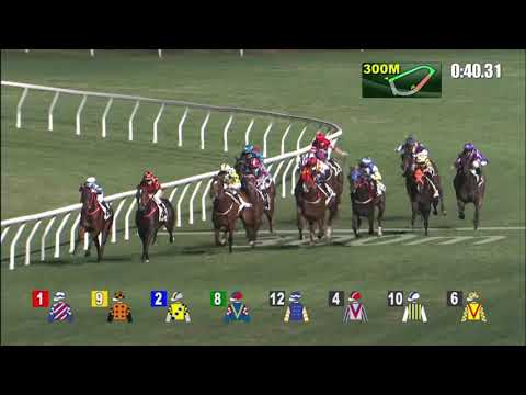 20/1/2021 (357) Oversubscribed - Z Purton