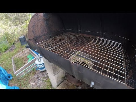 download lagu mp3 mp4 Mullet Recipes Nz, download lagu Mullet Recipes Nz gratis, unduh video klip Mullet Recipes Nz