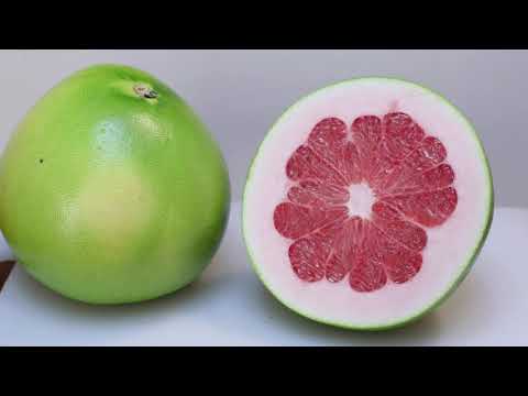 Ceger ep. 471 16.12.2020.