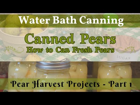 Canned Pears | Pear Harvest Projects - Part 1 | How to Can Fresh Pears | Stock Your Pantry!