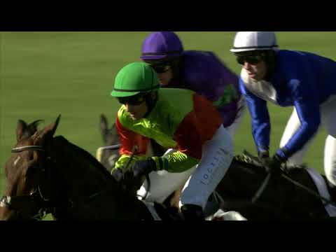 PE, 14. 10. 2018, 4. dostih - Cena společnosti NUTRIN