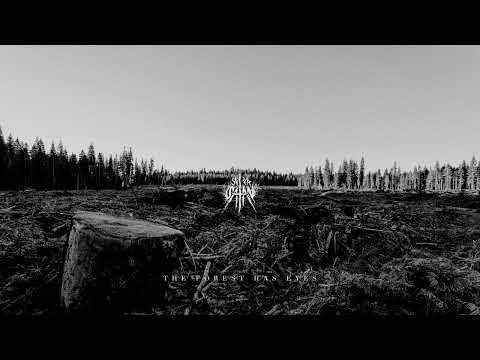 Super Satan - The Forest Has Eyes (Official Audio)