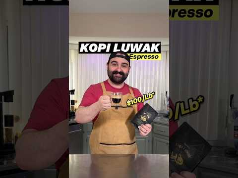$100/Lb Cat Poop Coffee (Kopi Luwak Espresso)