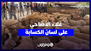 من رحبة أناسي.. الكسابة يكشفون أسباب ارتفاع أسعار الأضاحي thumbnail