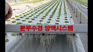 시설비 확 줄인 분무수경 양액시스템(Aeroponics)