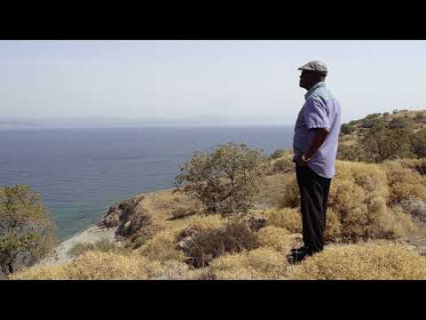 Manthia Diawara video 3