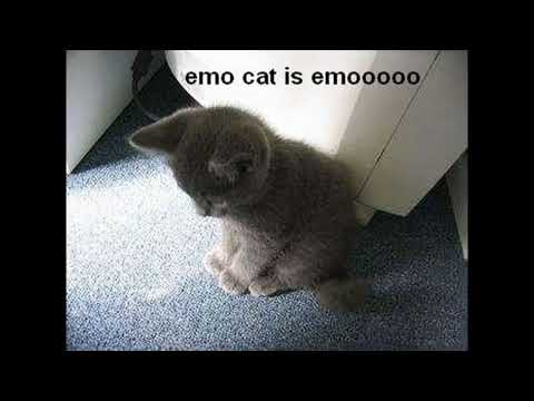 Sqwore + Dnb + Breakbeat + Hyperpop x Type Beat - iwilo @kir1i