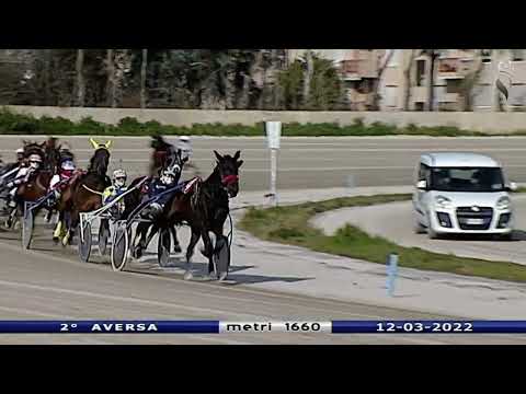 Aversa trotto 12 Marzo 2022 - 2° Corsa