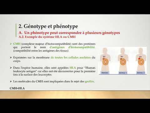 Bac S  Chap4  Activité 3  Génotype Système CMH