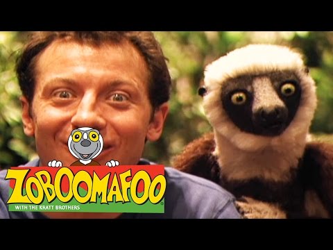 🐒 Zoboomafoo 🐒 127 | Fast and Slow - Full Episode | Kids TV Shows