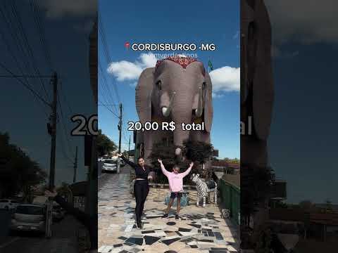 QUANTO GASTAMOS EM UM FIM DE SEMANA EM CORDISBURGO- MG 🐳🐘🚗