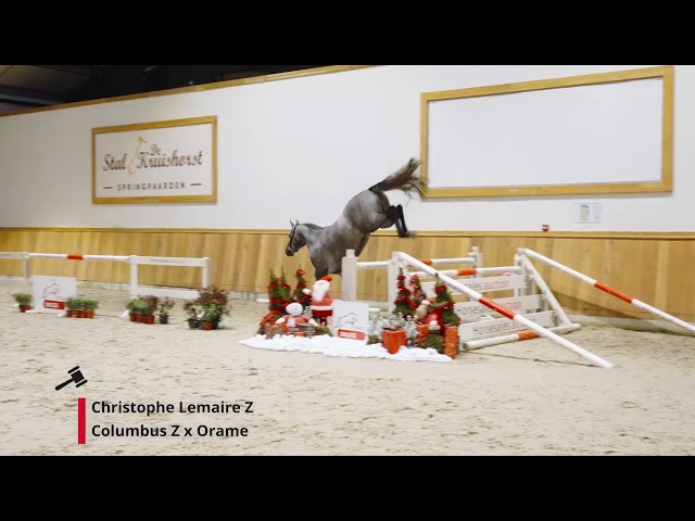 Christophe Lemaire Z