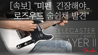 펜더 플레이어2 텔레캐스터 리뷰 | 로즈우드가 주는 만족감