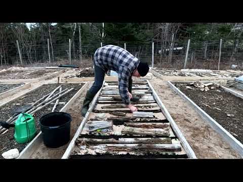 Spinach & Parsnip Early Planting: Temperate Maritime Guide