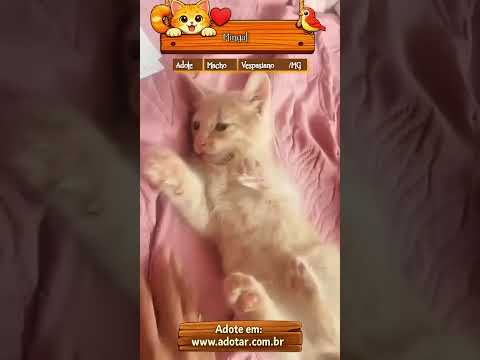 Vídeo de Mingal