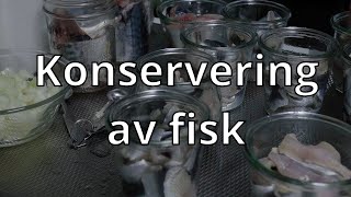 Makrill, sill och dill - konserverar fisk