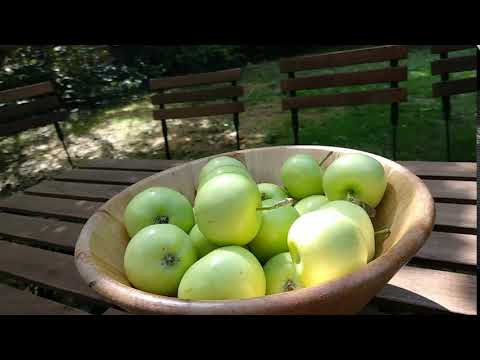 Papierówki - Clockwork Wirtualne Biuro Poznań