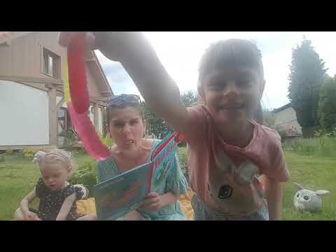 Czytamy Basię. Basia i wyprawa do lasu. (Zofia Stanecka)