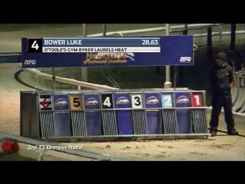 2019 O'TOOLE'S GYM BYKER LAURELS - HEAT 3 - T4 BOWER LUKE