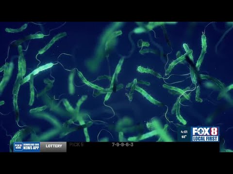 State issues alert as flesh-eating bacteria cases and deaths rise