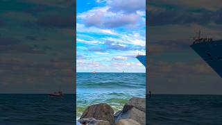 Freedom of the Seas 🛳️#like #share #comment #subscribe #cruiseship #cruise #vacation #shorts #short