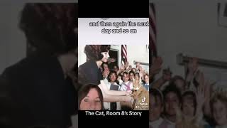 🐈💚🐈‍⬛ Room 8’s Story