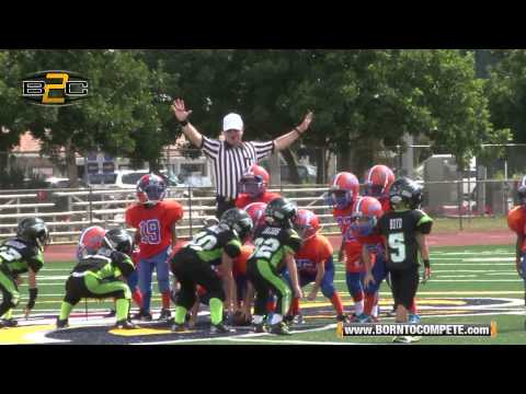 B2C: Southwest Florida Youth Football Championships: 6U Lee County Hawks vs Naples Gators
