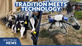 How AI could take over the farming industry