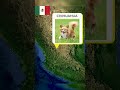 Dog Breeds From Different Countries Part 1 Shorts Dog