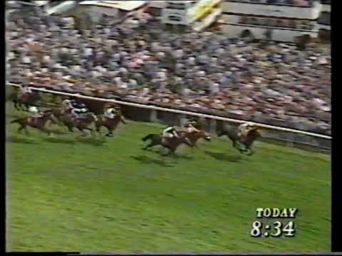 1987 English Derby