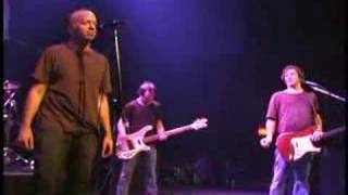 I'm In The Mood To Move - Ween Live