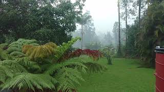 VOG and acid rain inside Leilai Estates.  July 2, 2018