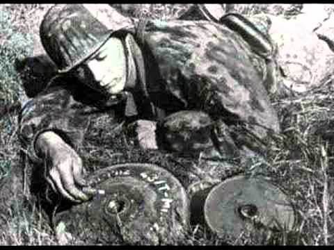 Inese Greste - Baltā roze