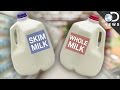 Whole Vs Skim Which Milk Is Better For You
