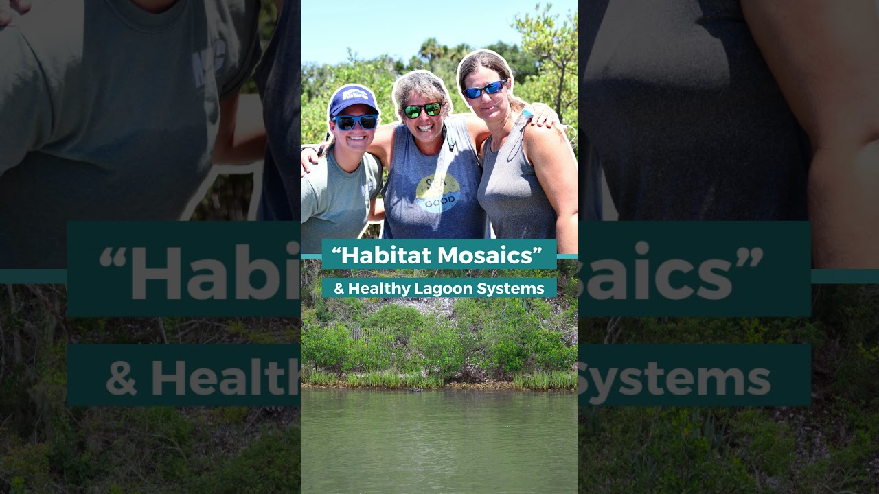 “Habitat Mosaics” & How Healthy Lagoon Systems Work Together