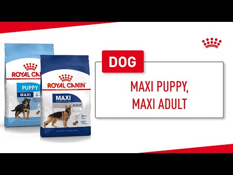 Royal Canin Maxi Adult 15kg video